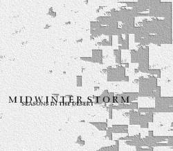 Midwinter Storm : Seasons in the Desert